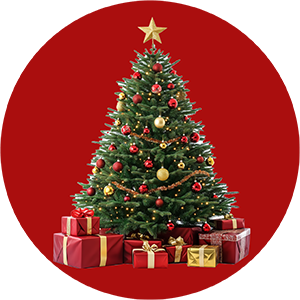 image-Christmas img-fluid