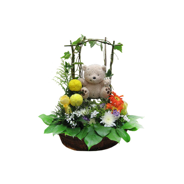 product-details