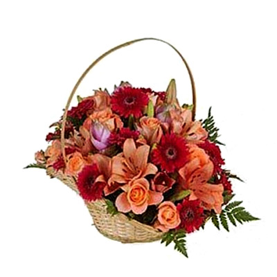 product-details