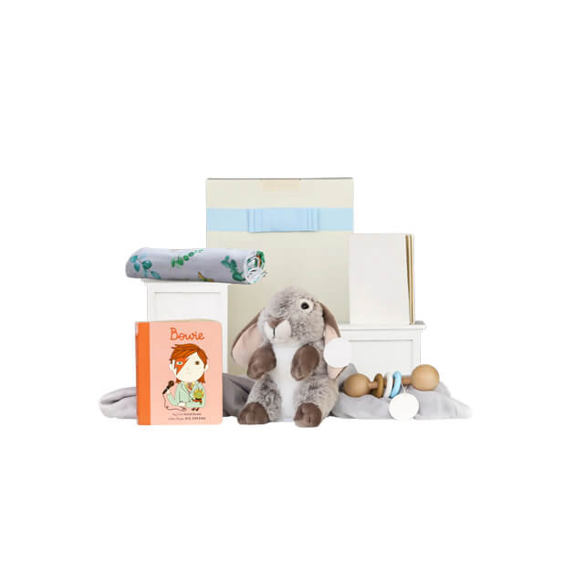 Sweet Bundle Baby Hamper: David Bowie