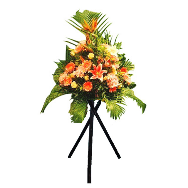 product-details